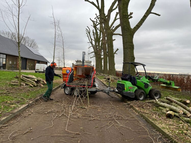 Maai- en snoeiwerkzaamheden